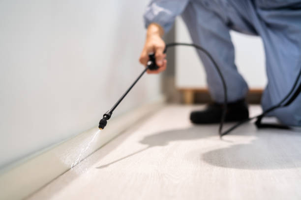 Licensed Fumigation Services service in Sturgis, KY - Nex Pest Control