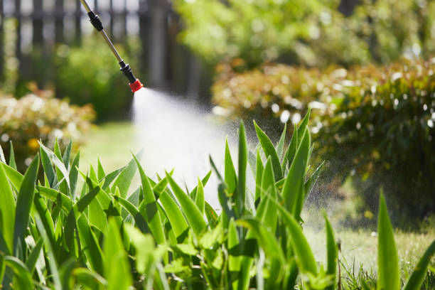 24/7 Emergency Fumigation Services experts in Sturgis, KY
